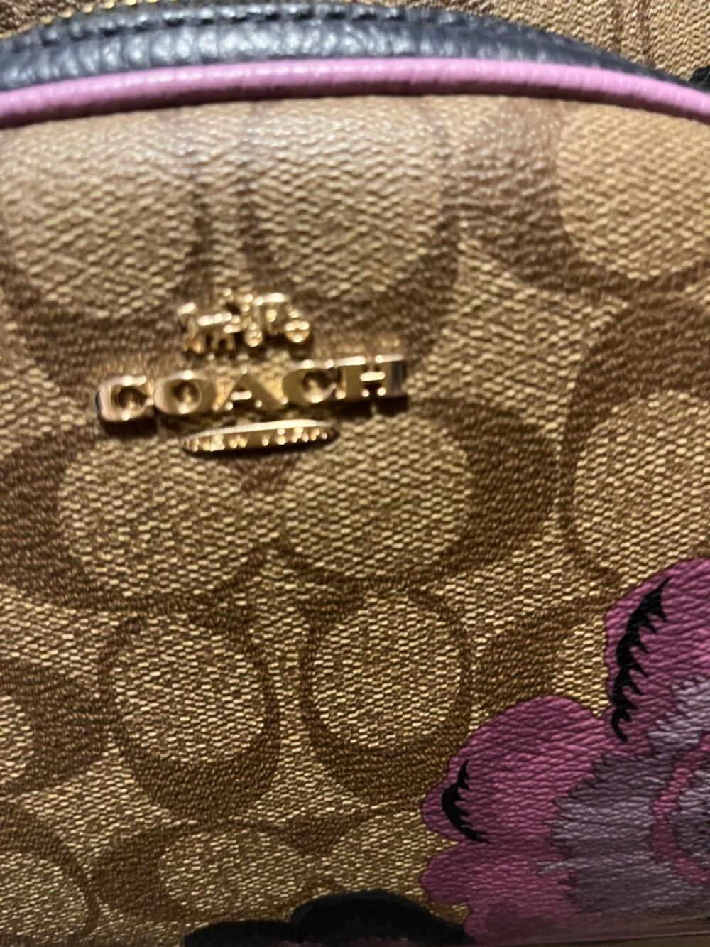Coach Floral Signature Court Backpack - Brown/Purple/Navy - Picture 3 of 14
